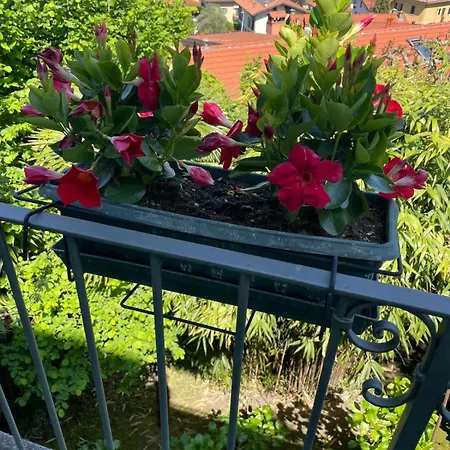 Διαμέρισμα Casa Monika