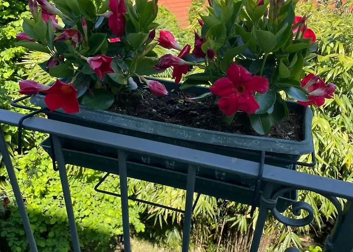 アパート Casa Monika